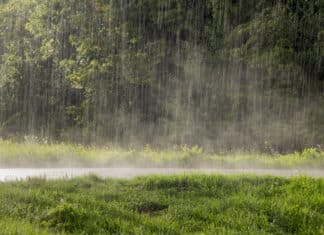 Comment mesurer la quantité de pluie ? Une étude des différentes méthodes pluie