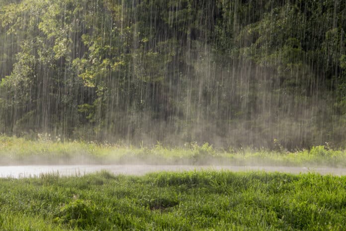 pluie