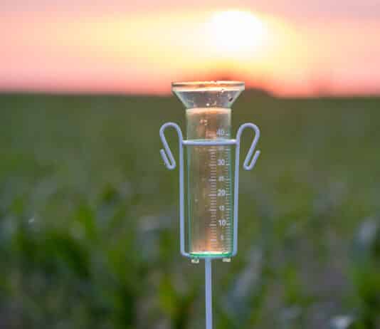 Le meilleur Pluviomètre – Guide d’achat de Mai 2026 photo d'un pluviomètre installé dans une exploitation agricole