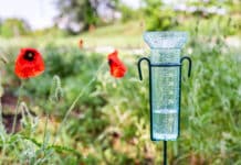 Les usages d’un pluviomètre : connaissez-vous tous les avantages qu’il peut vous apporter ? un pluviometrre installé dans un jardin