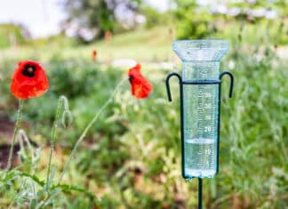 Les usages d’un pluviomètre : connaissez-vous tous les avantages qu’il peut vous apporter ? un pluviometrre installé dans un jardin