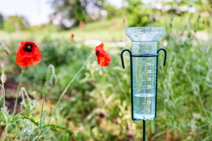 un pluviometrre installé dans un jardin